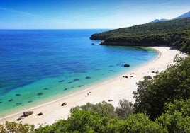 Imagen de una de las playas de la localidad portuguesa de Setúbal.