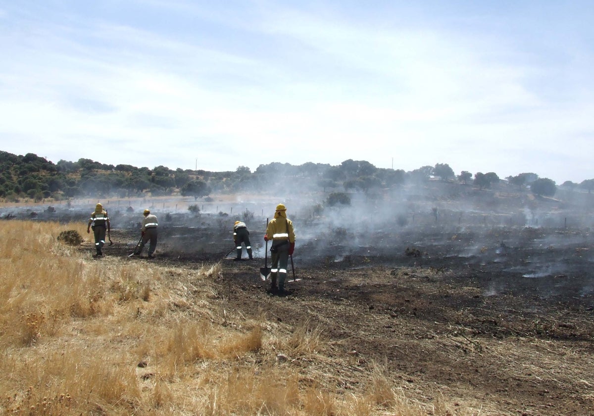 Un incendio en una finca de la provincia.