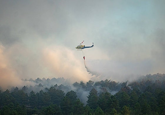 Incendio forestal en Trabazos.