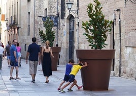 Uno niños «juegan» con el macetero.