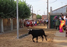 Astado de Cañero por las calles de Villaflores