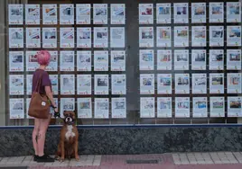 Una joven mira los anuncios de una inmobiliaria.