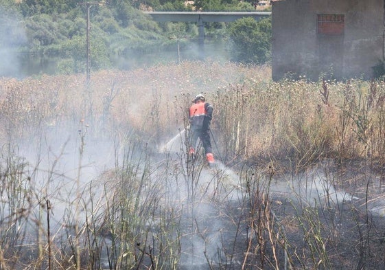 Los bomberos sofocando un incendio en la zona de pastos frente a las piscinas de Tejares en otra ocasión