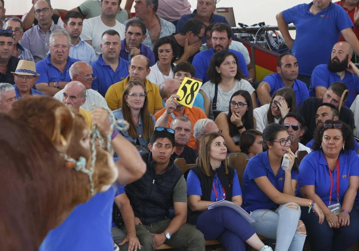 Público en una subasta de Salamaq 2024