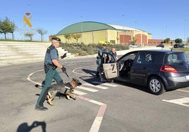 Imagen de la exhibición canina de la Guardia Civil, llevada a cabo este viernes, 13 de septiembre, en Carbajosa de la Sagrada.