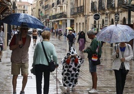 Salmantinos y turistas transitan por el centro de la ciudad en un día de lluvia.