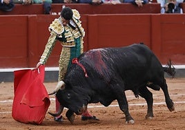 Espectacular embestida de Querido, el cuarto de la tarde de Garcigrande, en la muleta de Alejandro Talavante.