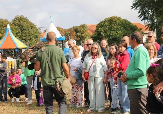 Exhibición de aves rapaces en el parque, junto al pabellón