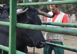 Aumenta la preocupación con la lengua azul al confirmarse el serotipo 1 en Extremadura