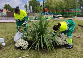 Dos alumnas en una plantación en una de las rotondas de Cabrerizos.