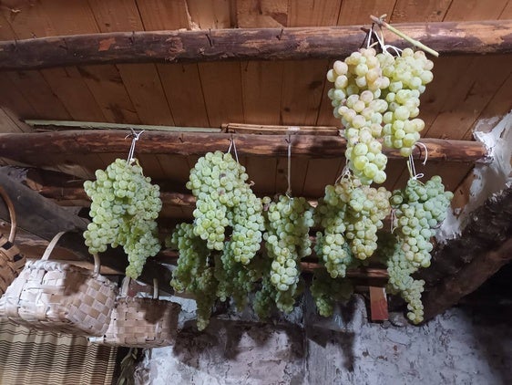 Las uvas colgadas del techo.