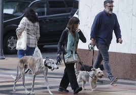 Una pareja pasea a sus mascotas por la ciudad.