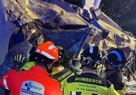 Bomberos de la Diputación y personal de Sacyl rescatando al conductor.