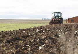 Un agricultor realiza labores.