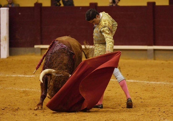 Natural de El Mene a Pulgarcito, el quinto novillo de Palla.