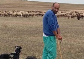 Carmelo García, junto a sus perros y ovejas, cerca de Villoria.