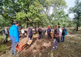 Aficionados en una jornada de recogida de setas.