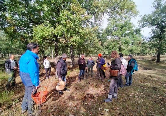 Aficionados en una jornada de recogida de setas.