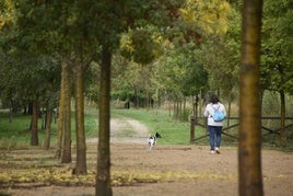 Pasear por La Pesquera de Ciudad Rodrigo, uno de los placeres que ofrece el río Águeda.