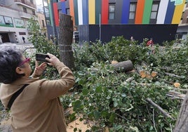 La Policía junto a los operarios al momento de iniciar la tala de los árboles en la plaza del Oeste.