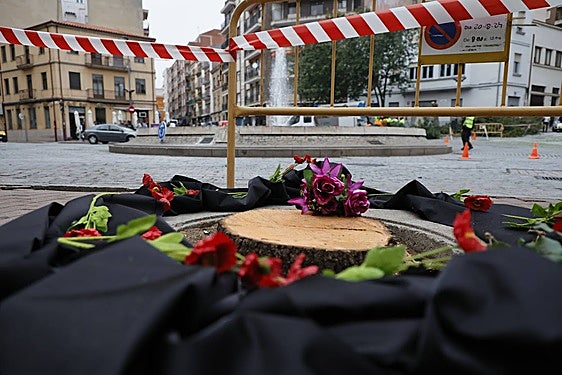Mausoleo en la plaza del Oeste de uno de los árboles talados.