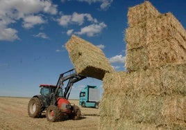 Tractor cargando paja.