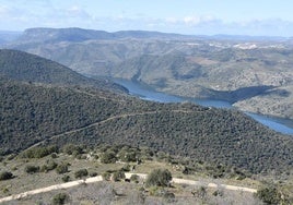 Esta zona de paso del río entre la frontera de España y Portugal es la elegida en el proyecto para construir el puente.