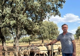 El ganadero José Antonio Sánchez, de Encina de San Silvestre.