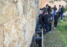 Los participantes plantas las semillas en sus respectivos huertos