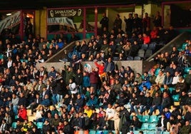 Vista del palco del Helmántico en el choque de Copa ante la AD Alcorcón, en el que estuvo presente Federico Blázquez.