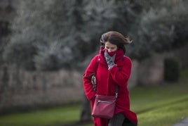 Una mujer abrigada pasea por la calle.