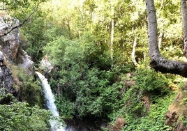 Detalle de la cascada en un claro del bosque |