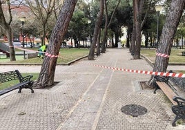 Qué ha ocurrido en Salamanca este domingo 24 de noviembre de 2024