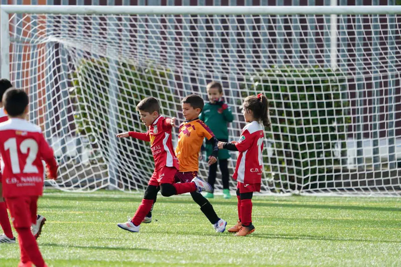 La jornada del fútbol base en Salamanca, en imágenes