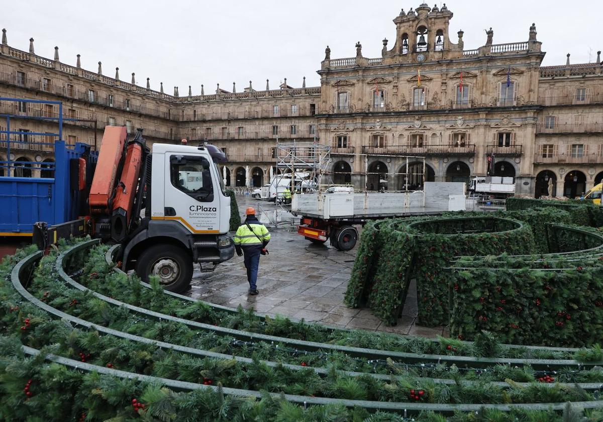 El árbol navideño va tomando forma en la Plaza Mayor