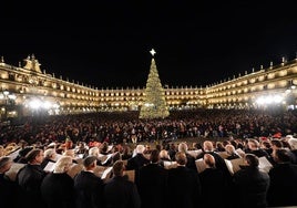 Miles de personas disfrutaron del encendido del gran árbol de la Plaza Mayor y de la decoración navideña.