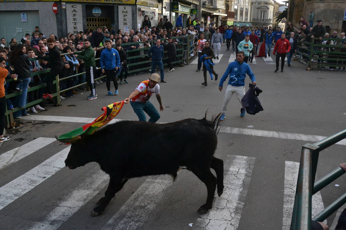 Un emocionante Toro de San Nicolás abarrota Vitigudino