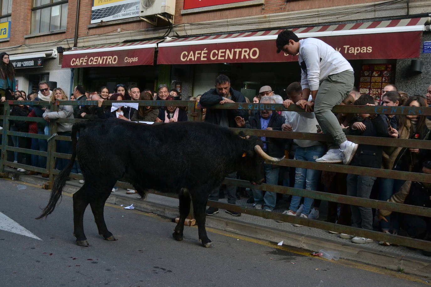 Un emocionante Toro de San Nicolás abarrota Vitigudino