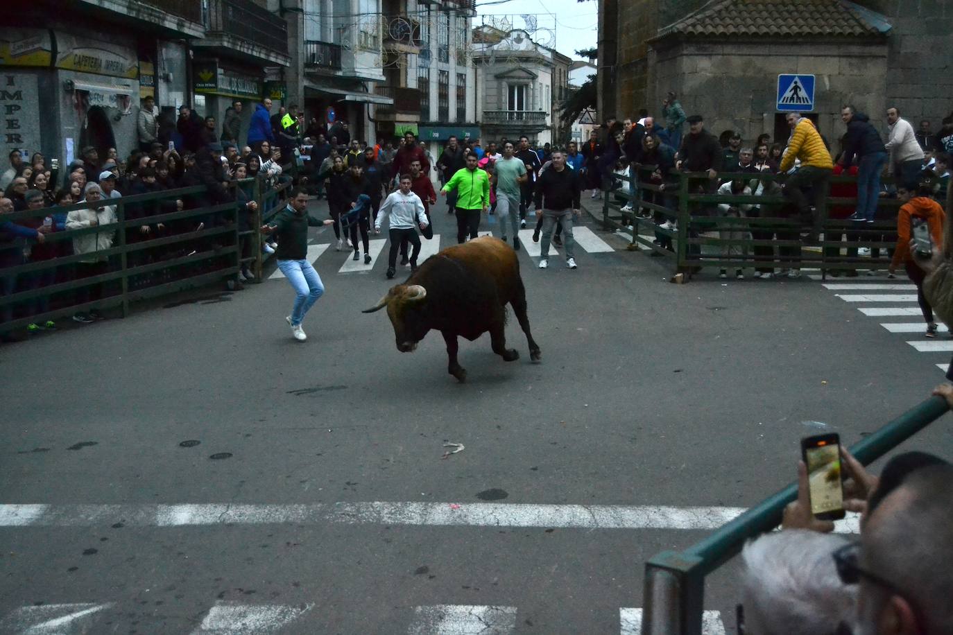 Un emocionante Toro de San Nicolás abarrota Vitigudino