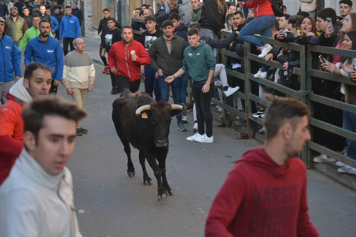 Un emocionante Toro de San Nicolás abarrota Vitigudino