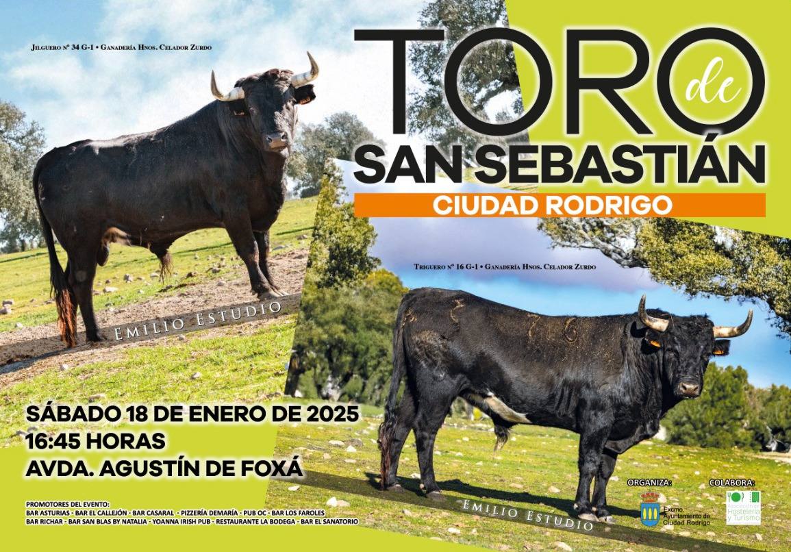 Jilguero y Triguero, protagonistas del Toro de San Sebastián de Ciudad Rodrigo