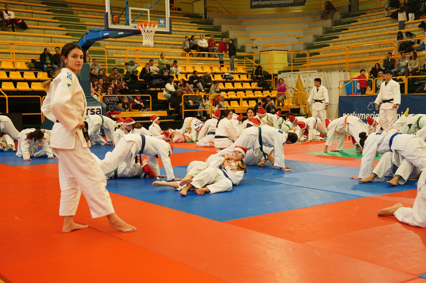 600 jóvenes judokas en el Festival de Navidad