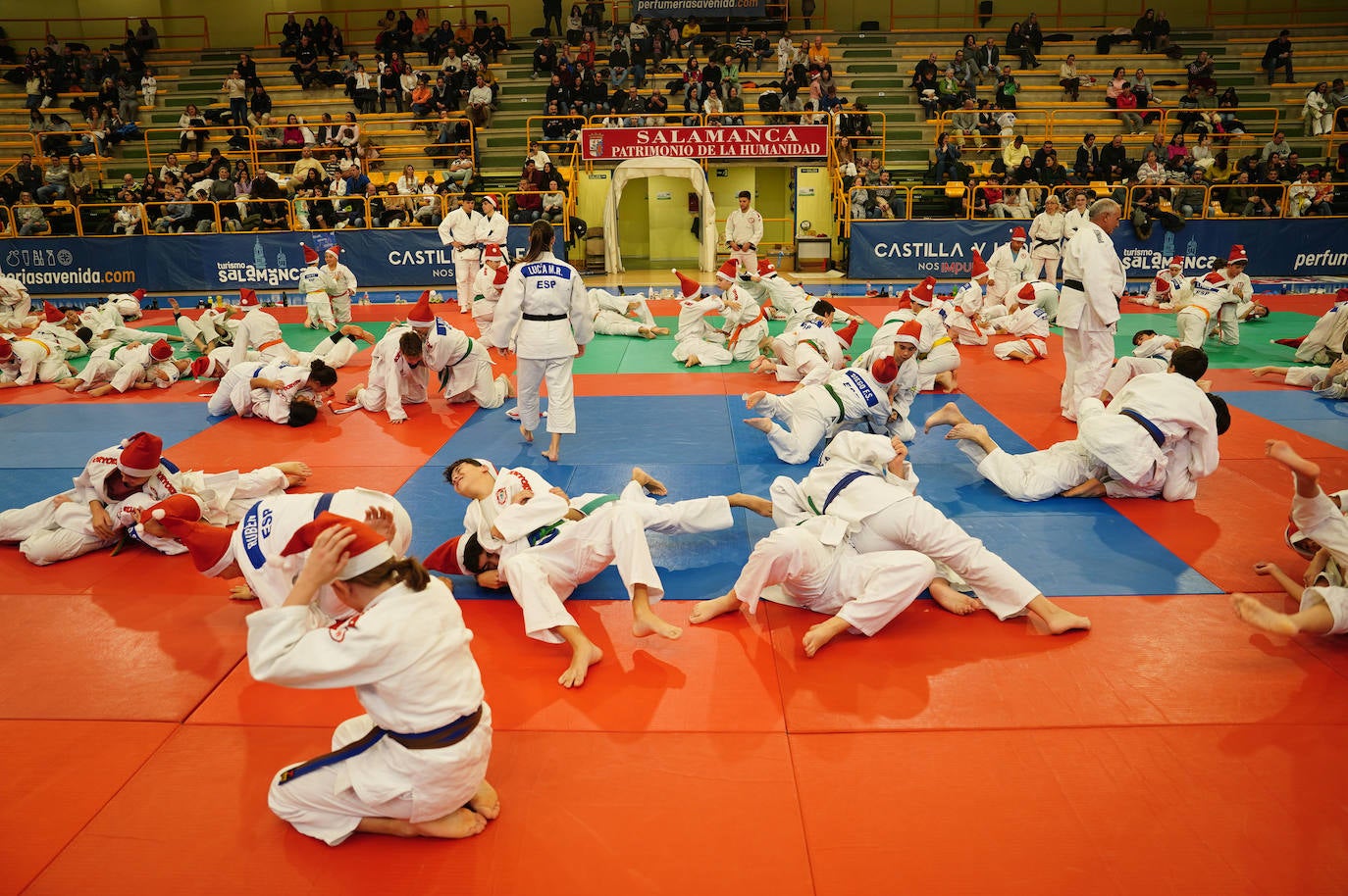 600 jóvenes judokas en el Festival de Navidad