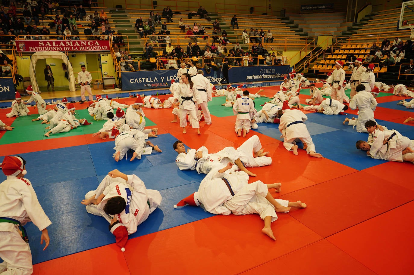 600 jóvenes judokas en el Festival de Navidad