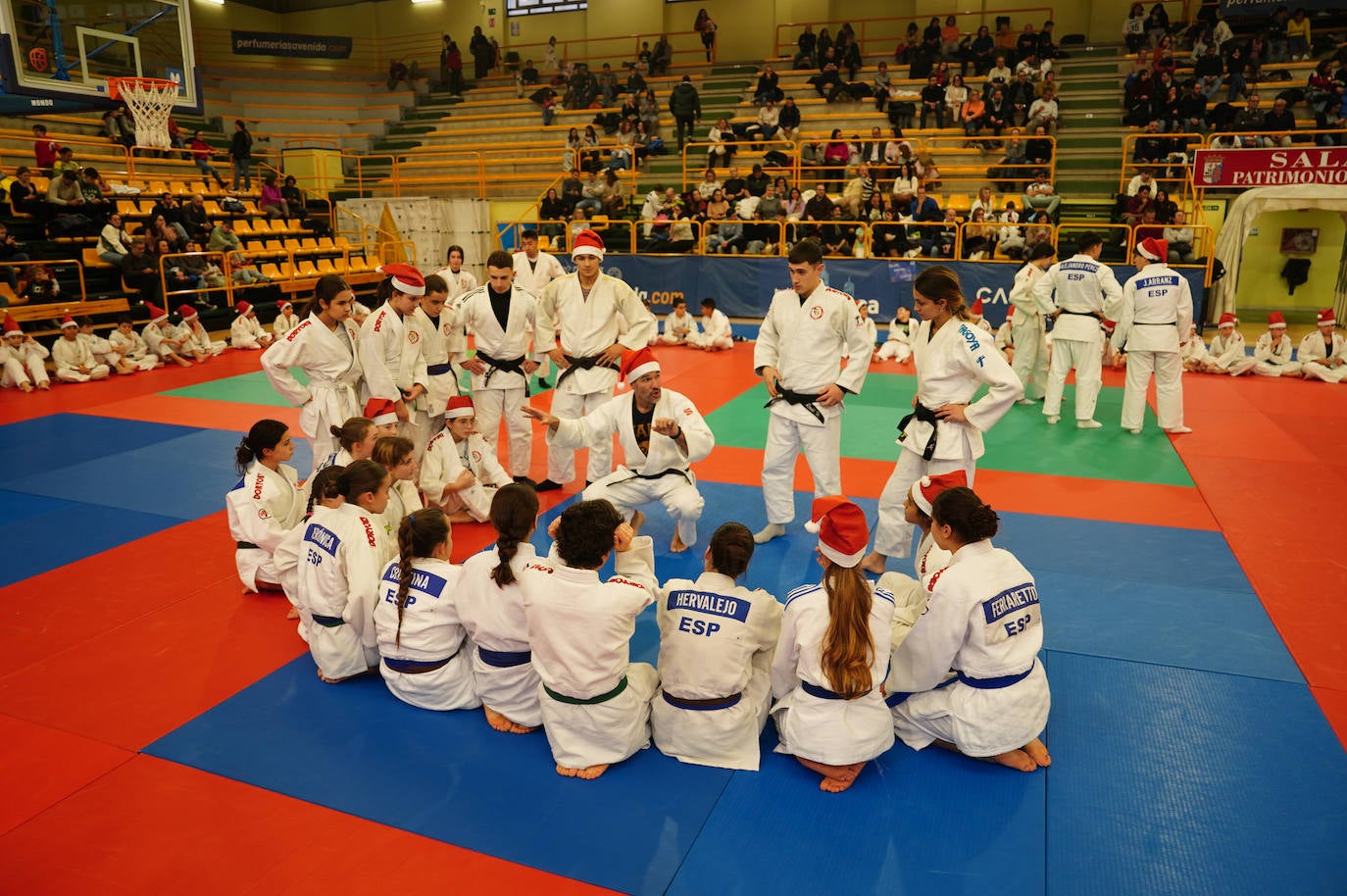 600 jóvenes judokas en el Festival de Navidad