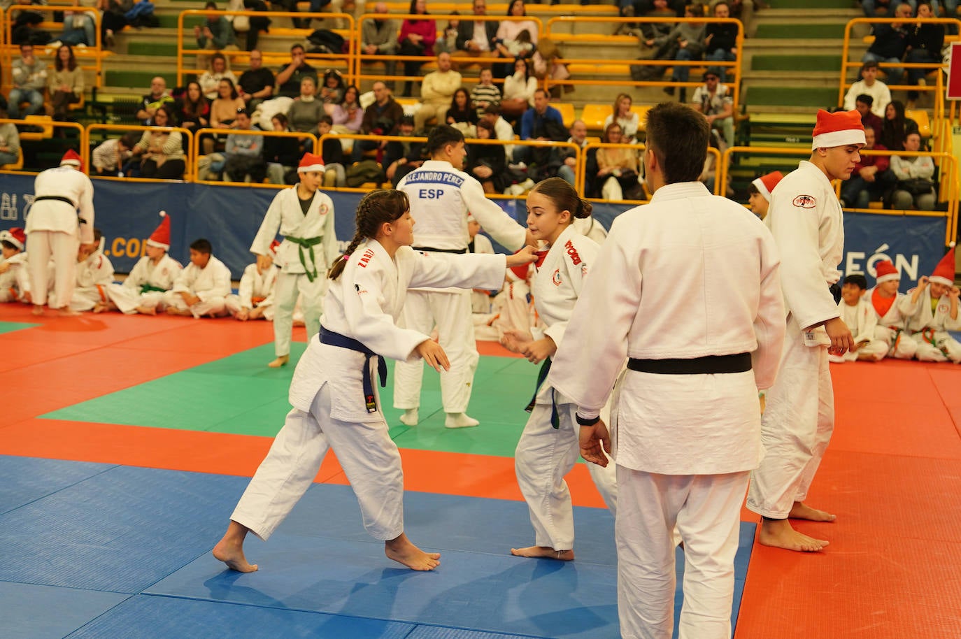 600 jóvenes judokas en el Festival de Navidad