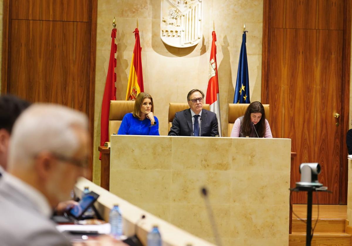 Pleno del Ayuntamiento de la mañana de este viernes.