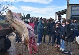 Jóvenes de Aldeanueva de Figueroa junto al cerdo.