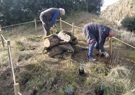 Miembros de la Fundación Tormes EB realizando los trabajos en el futuro mariposario de Alba de Tormes.