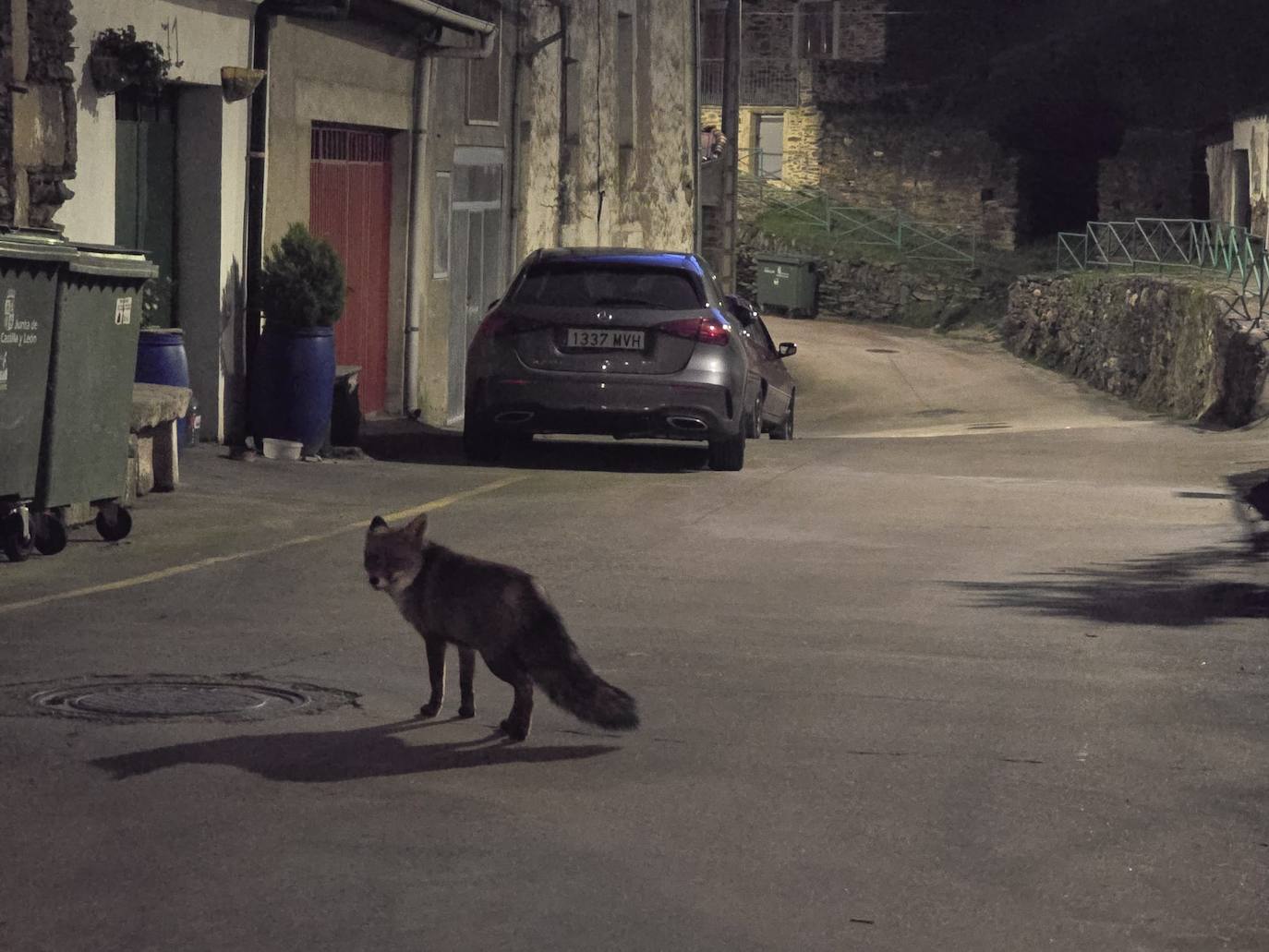 El &#039;Tarzán de Las Arribes&#039; al que cada día visita un zorro: «Vino a por el pienso, pero prefiere la carne»